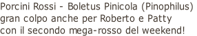 Porcini Rossi - Boletus Pinicola (Pinophilus)  gran colpo anche per Roberto e Patty  con il secondo mega-rosso del weekend!