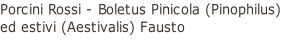 Porcini Rossi - Boletus Pinicola (Pinophilus)  ed estivi (Aestivalis) Fausto