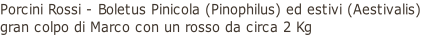 Porcini Rossi - Boletus Pinicola (Pinophilus) ed estivi (Aestivalis) gran colpo di Marco con un rosso da circa 2 Kg